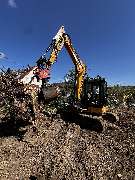 Forst- und Gartenservice Roller - GALLERY