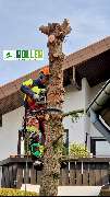 Forst- und Gartenservice Roller - GALLERY