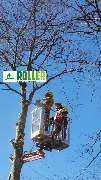Forst- und Gartenservice Roller - GALLERY