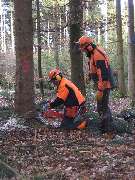 Forstbetriebsgemeinschaft Aitrach-Isar-Vils w. V. - 4