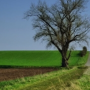 Landwirtschaft - Forstbüro Gräbner, Soltau