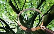 Forstfachbetrieb Radebeul Inh. Jens Erler - GALLERY