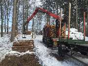 Forsthof Ziegenbalg - GALLERY
