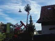 Forstservice Schnaitter - GALLERY