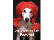 Foto Fehling Inh. Klaus Fehling - GALLERY