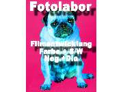 Foto Fehling Inh. Klaus Fehling - GALLERY
