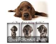 Fotohaus Jäger - GALLERY