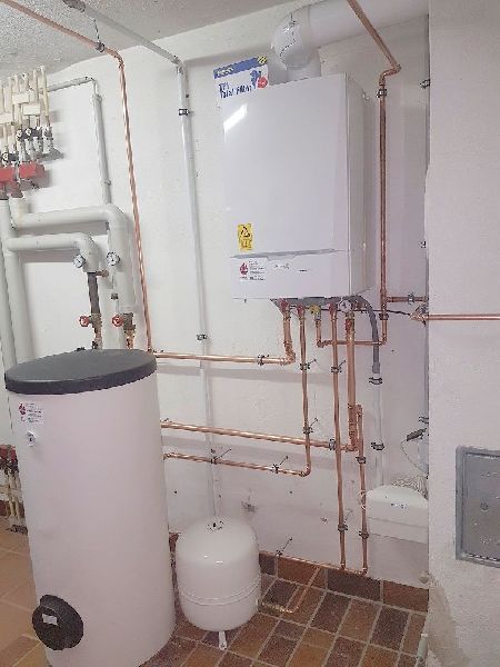 Frank Mayer - GALLERY