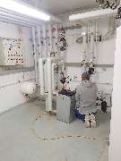 Frank Mayer - GALLERY