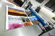 Frankenprint - 4