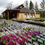 Franz Fink Gartengestaltung - 2