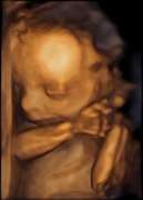 Frauenarztpraxis Prof. Dr. med. Anke Thomas - GALLERY