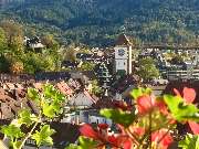 Freiburg-Guide - GALLERY