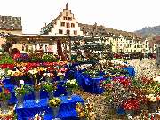Freiburg-Guide - GALLERY