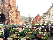 Freiburg-Guide - GALLERY