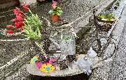 Freiburg-Guide - GALLERY