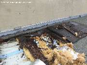 Freie Architektin und Bausachverständige Anne-Kathrin Gross - 2