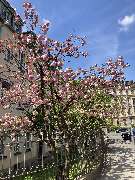 Freigeist  Immobilienmakler Würzburg - GALLERY