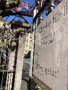 Freigeist  Immobilienmakler Würzburg - GALLERY