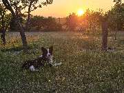 Freizeithof Tigermotte - GALLERY