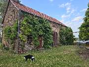 Freizeithof Tigermotte - GALLERY