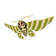 Freizeithof Tigermotte - LOGO