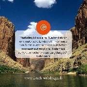 fresch webdesign - GALLERY