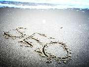 fresch-webdesign - GALLERY