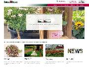 fresch-webdesign - GALLERY