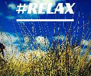 fresch-webdesign - GALLERY