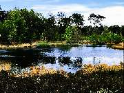 fresch-webdesign - GALLERY