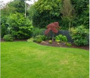 Freu Garten GbR - GALLERY