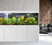 Friedeberg Aquarien - 4