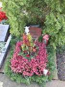 Friedhofsgärtnerei Bernd Stelzer - GALLERY