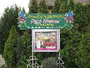 Friedhofsgärtnerei Bernd Stelzer - GALLERY