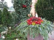 Friedhofsgärtnerei Bernd Stelzer - GALLERY