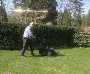 Friedhofsgärtnerei & Gartenpflege Hasenberg Köln - Friedhofsgärtnerei & Gartenpflege Hasenberg Köln