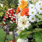 Friedhofsgärtnerei Paeseler - Trauerbindereien