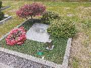 Friedhofsgärtnerei Präger Inh. Marco Präger - GALLERY