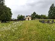 Friedhofsverwaltung - GALLERY