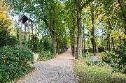 Friedhofsverwaltung Planitz - GALLERY