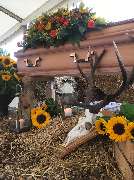 Friedrich Cordes Bestattungen Hannover Zoo - GALLERY