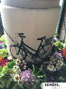 Friedrich Cordes Bestattungen Ronnenberg-Empelde - GALLERY