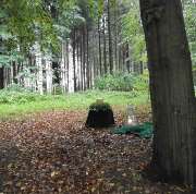 Friedrich Neese Sargfabrik GmbH - GALLERY