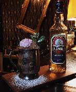 FRIESEN Bar - Cocktailbar Köln - FRIESEN Barkultur Köln