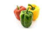 Frisch Frucht Erfurt GmbH – Ihr Foodservice Partner - Der Foodservice Frisch Erfurt ist ihr Großhandel für Obst, Gemüse, Kräuter, Salate, Bioprodukte, Kartoffelprodukte, exotische Früchte, Feinkost, Convenience, Molkereiprodukte, Gastro-Spezial und Divers