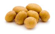 Frisch Frucht Erfurt GmbH – Ihr Foodservice Partner - Der Foodservice Frisch Erfurt ist ihr Großhandel für Obst, Gemüse, Kräuter, Salate, Bioprodukte, Kartoffelprodukte, exotische Früchte, Feinkost, Convenience, Molkereiprodukte, Gastro-Spezial und Divers