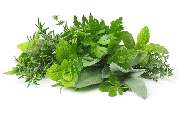 Frisch Frucht Erfurt GmbH – Ihr Foodservice Partner - Der Foodservice Frisch Erfurt ist ihr Großhandel für Obst, Gemüse, Kräuter, Salate, Bioprodukte, Kartoffelprodukte, exotische Früchte, Feinkost, Convenience, Molkereiprodukte, Gastro-Spezial und Divers