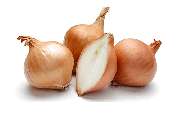 Frisch Frucht Erfurt GmbH – Ihr Foodservice Partner - Der Foodservice Frisch Erfurt ist ihr Großhandel für Obst, Gemüse, Kräuter, Salate, Bioprodukte, Kartoffelprodukte, exotische Früchte, Feinkost, Convenience, Molkereiprodukte, Gastro-Spezial und Divers
