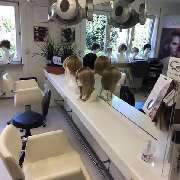 Friseur Gräbener - GALLERY